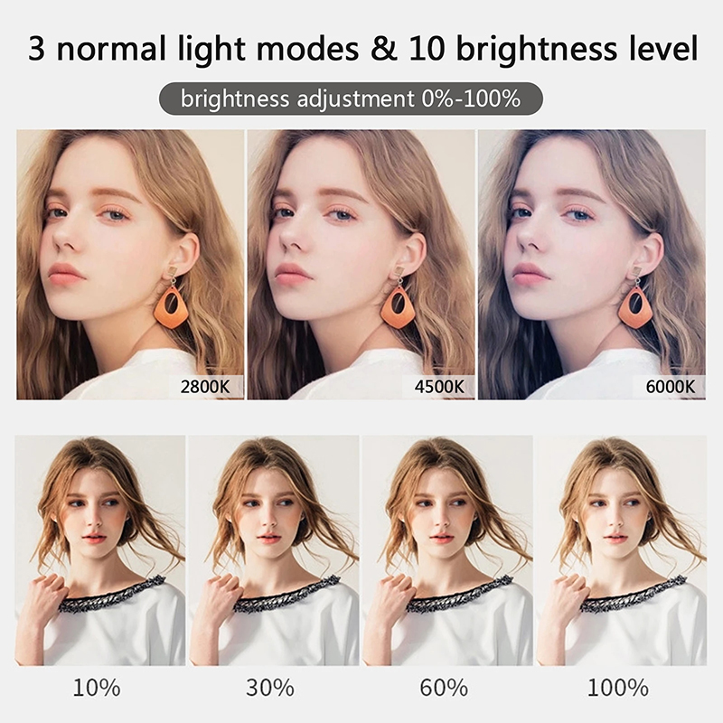 10 inch LED Selfie Ring Light  - đánh giá và giá Photography Lighting Circle